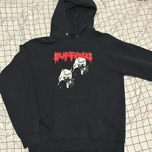 anime hoodie, got gifted it so i’m not sure where it’s from.